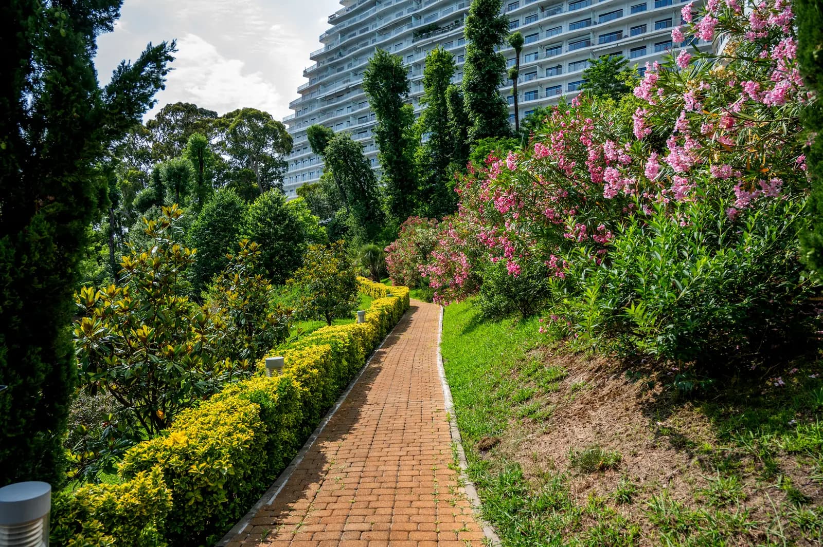 Галерея фото 54