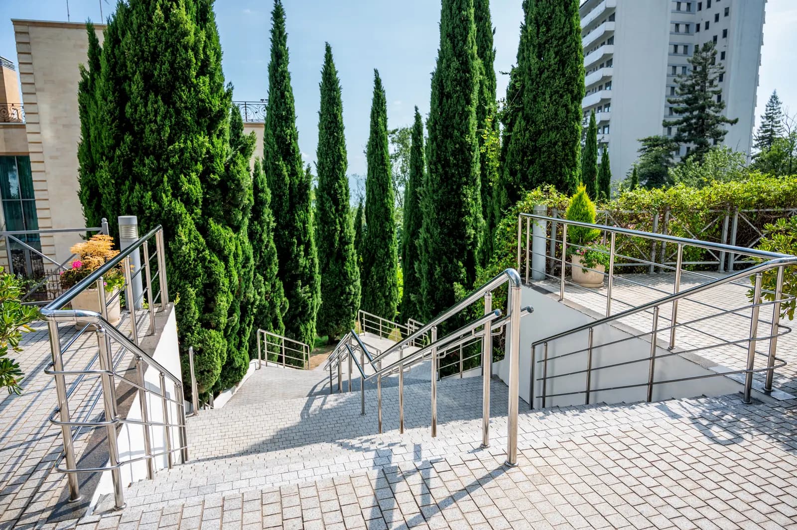 Галерея фото 53