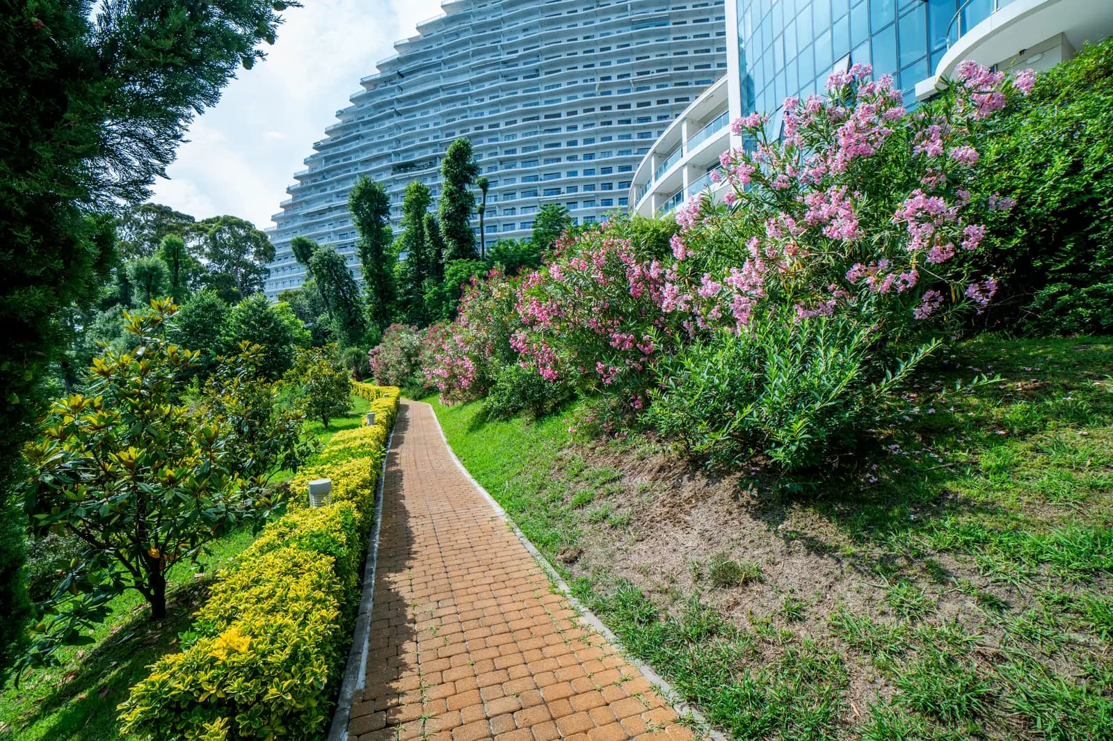 Галерея фото 57